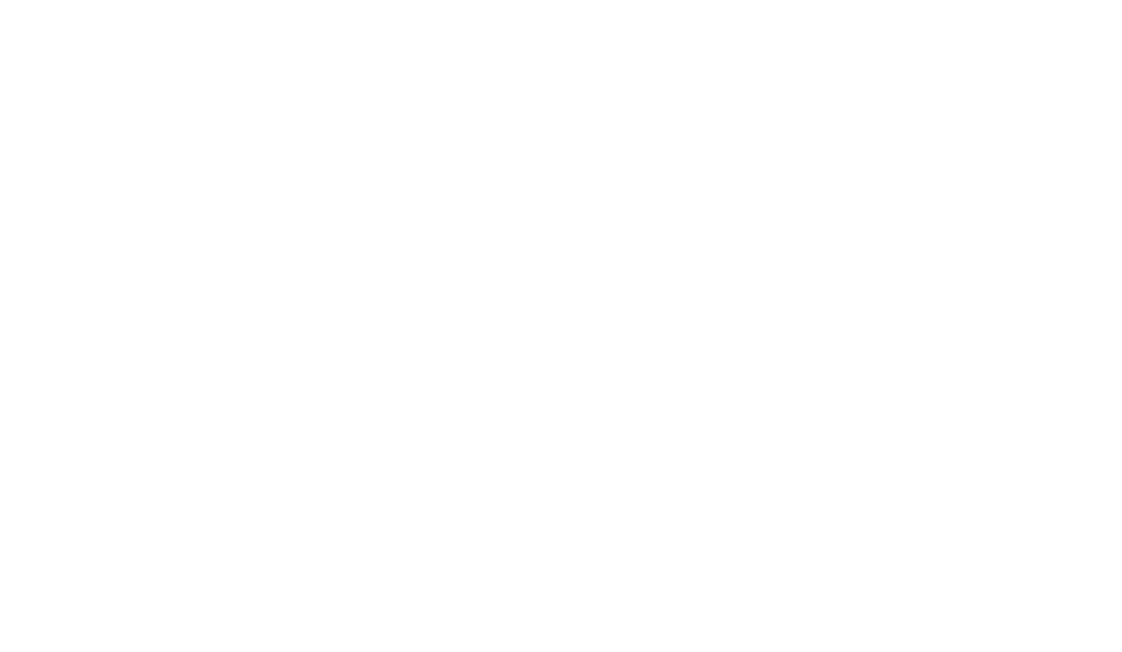 logo_fenix_100